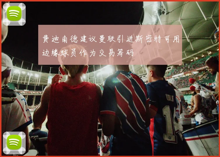 费迪南德建议曼联引进斯密特可用边缘球员作为交易筹码